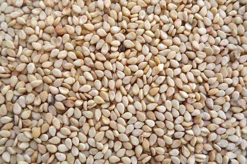 10 Amazing Health Benefits of Sesame Seeds You Should Know